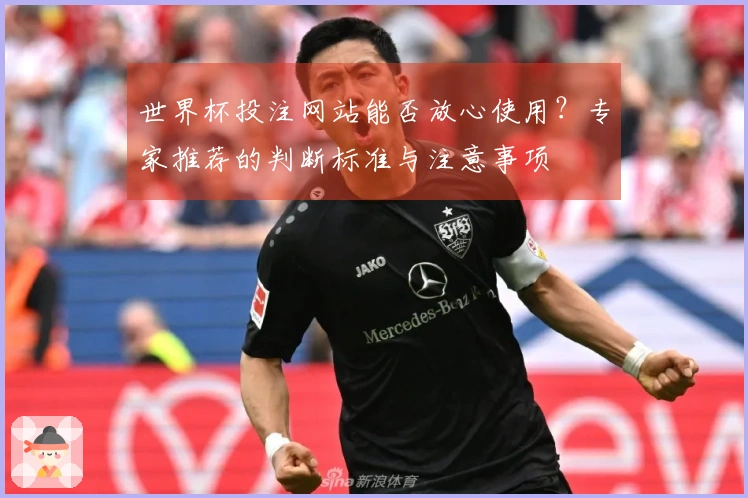 世界杯投注网站能否放心使用？专家推荐的判断标准与注意事项