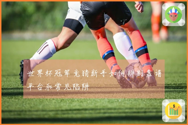 世界杯冠军竞猜新手如何辨别靠谱平台和常见陷阱