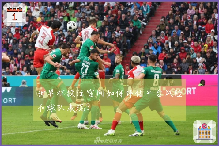 世界杯投注官网如何评估平台风险和球队表现？