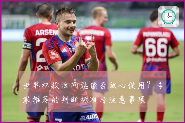 世界杯投注网站能否放心使用？专家推荐的判断标准与注意事项