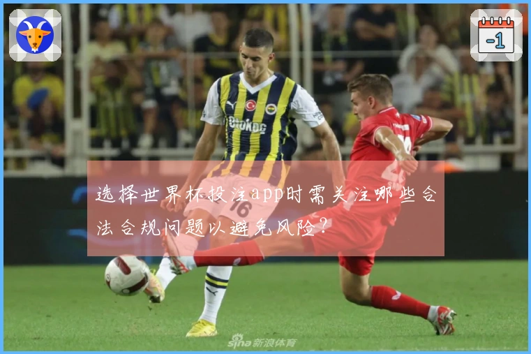 选择世界杯投注app时需关注哪些合法合规问题以避免风险？