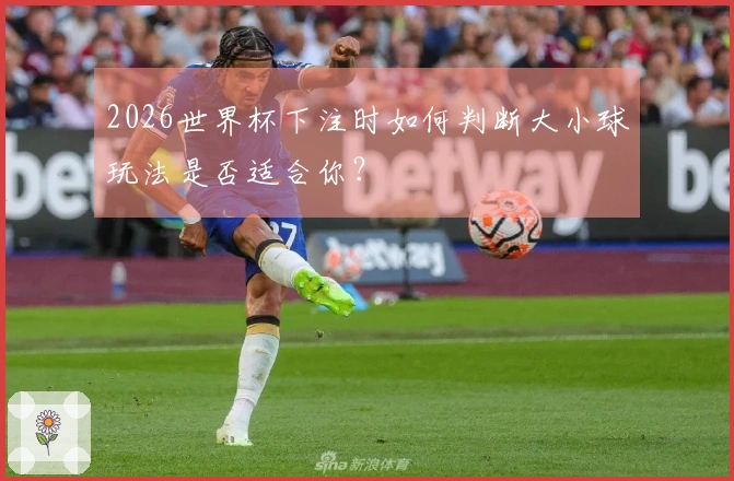 2026世界杯下注时如何判断大小球玩法是否适合你？