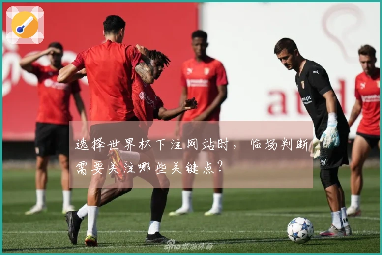 选择世界杯下注网站时，临场判断需要关注哪些关键点？