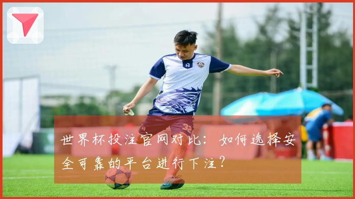 世界杯投注官网对比：如何选择安全可靠的平台进行下注？