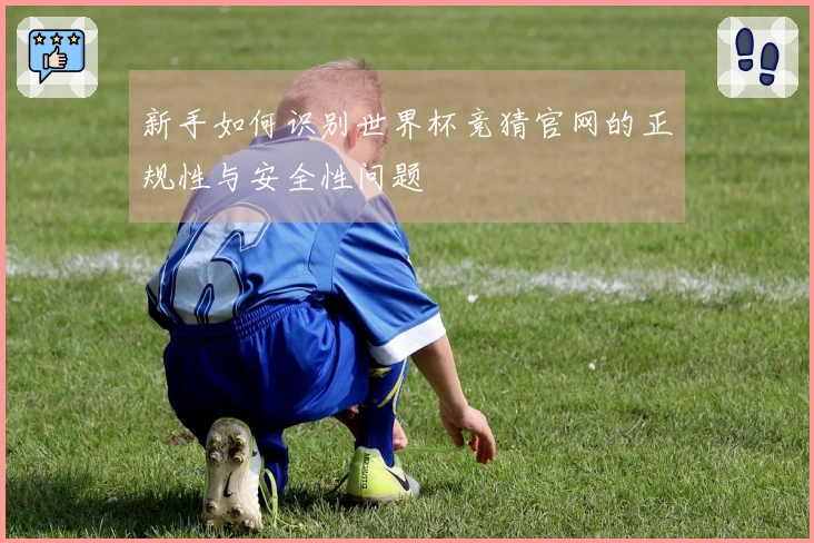 新手如何识别世界杯竞猜官网的正规性与安全性问题