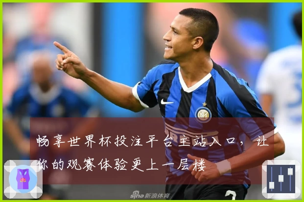 畅享世界杯投注平台主站入口,让你的观赛体验更上一层楼