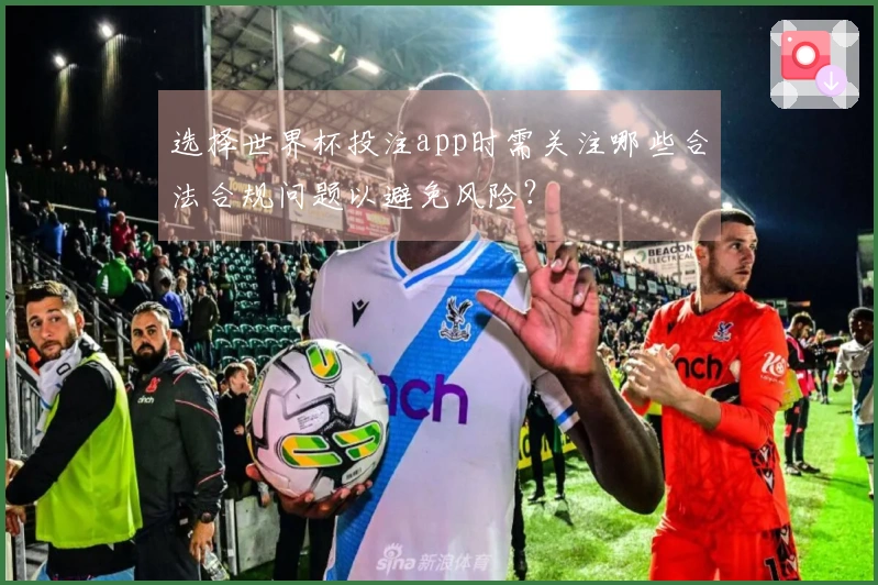 选择世界杯投注app时需关注哪些合法合规问题以避免风险？