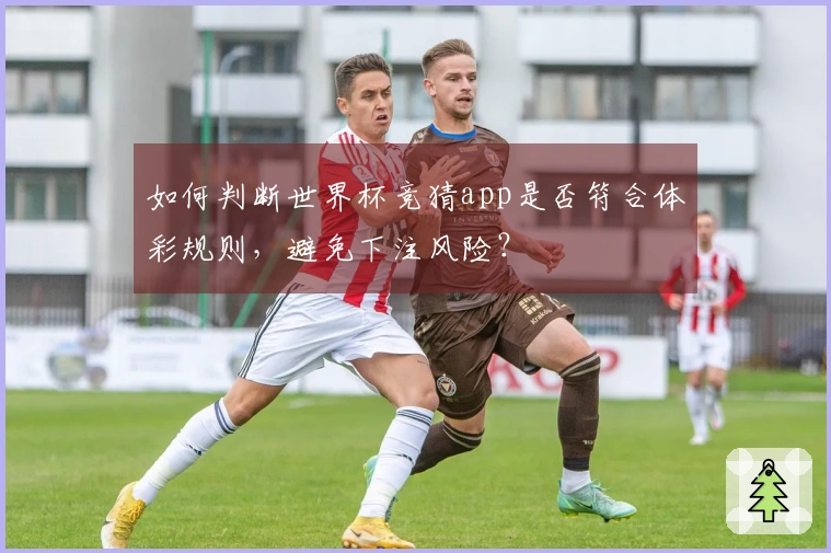 如何判断世界杯竞猜app是否符合体彩规则，避免下注风险？