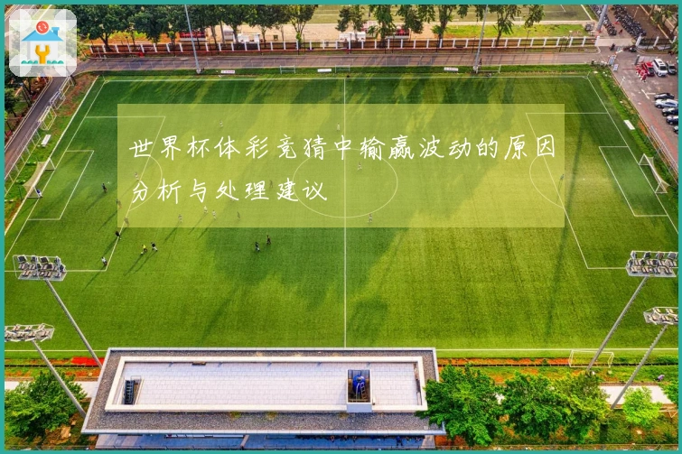世界杯体彩竞猜中输赢波动的原因分析与处理建议