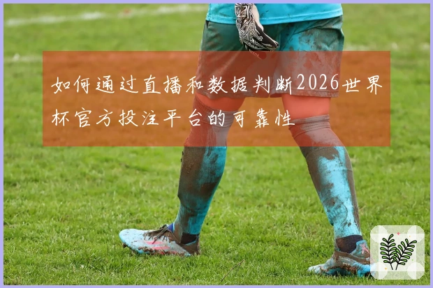 如何通过直播和数据判断2026世界杯官方投注平台的可靠性