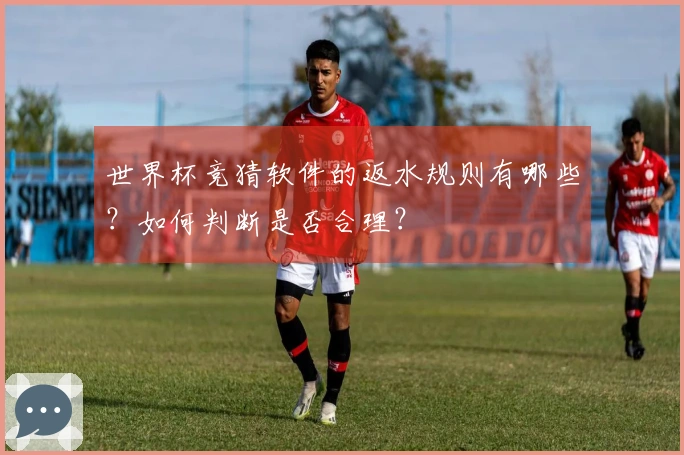 世界杯竞猜软件的返水规则有哪些？如何判断是否合理？