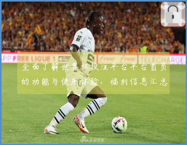 全面了解世界杯投注平台平台首页的功能与使用体验，福利信息汇总尽在其中