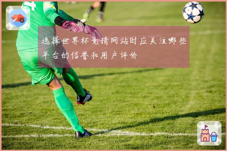 选择世界杯竞猜网站时应关注哪些平台的信誉和用户评价