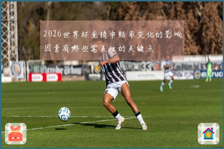 2026世界杯竞猜中赔率变化的影响因素有哪些需关注的关键点