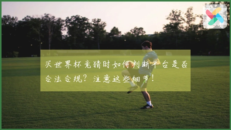 买世界杯竞猜时如何判断平台是否合法合规？注意这些细节！
