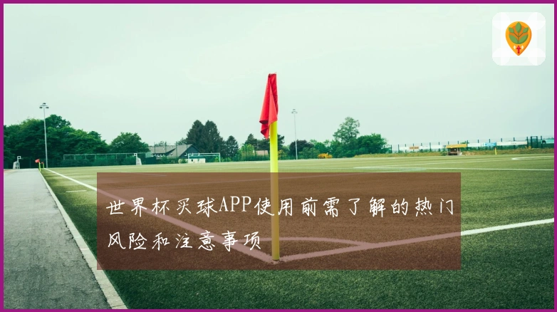 世界杯买球APP使用前需了解的热门风险和注意事项