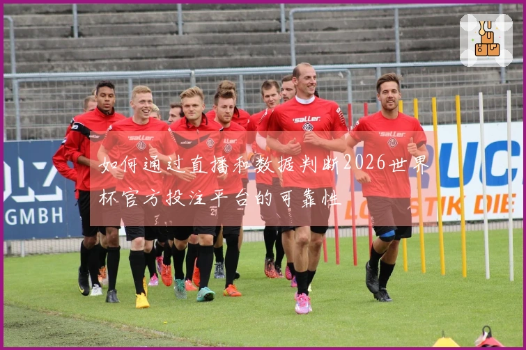 如何通过直播和数据判断2026世界杯官方投注平台的可靠性