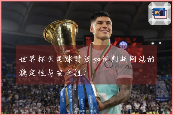 世界杯买足球时该如何判断网站的稳定性与安全性？