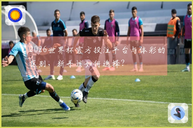 2026世界杯官方投注平台与体彩的区别，新手该如何选择？