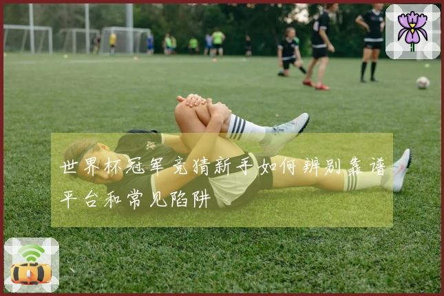 世界杯冠军竞猜新手如何辨别靠谱平台和常见陷阱