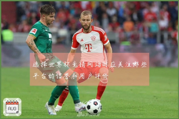选择世界杯竞猜网站时应关注哪些平台的信誉和用户评价