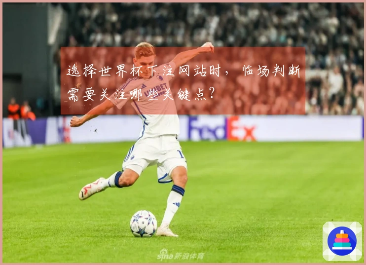 选择世界杯下注网站时，临场判断需要关注哪些关键点？