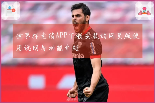 世界杯竞猜APP下载安装的网页版使用说明与功能介绍